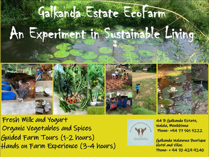 Eco Farm